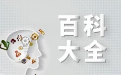 其分支全国20多个省份